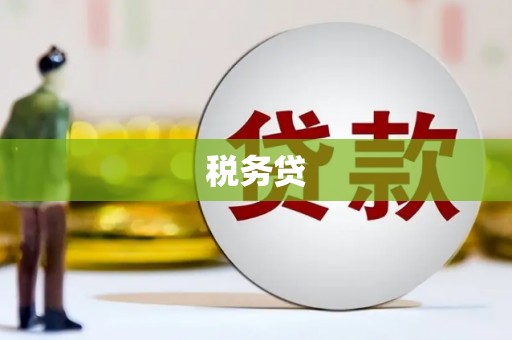 龙子湖税务贷