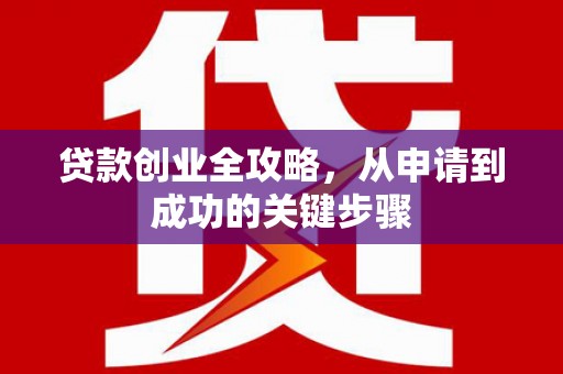 龙子湖贷款创业全攻略，从申请到成功的关键步骤
