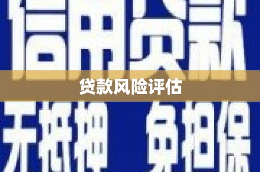 龙子湖贷款风险评估