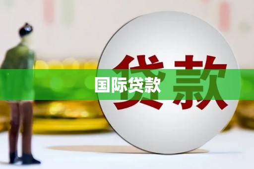 龙子湖国际贷款