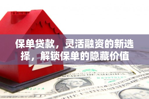 龙子湖保单贷款，灵活融资的新选择，解锁保单的隐藏价值