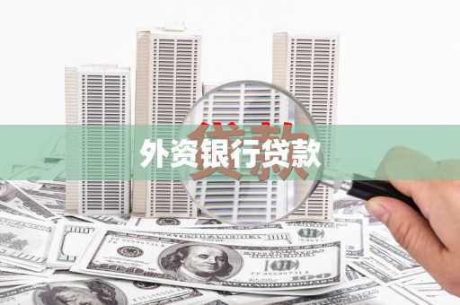 龙子湖外资银行贷款
