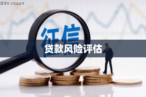 龙子湖贷款风险评估