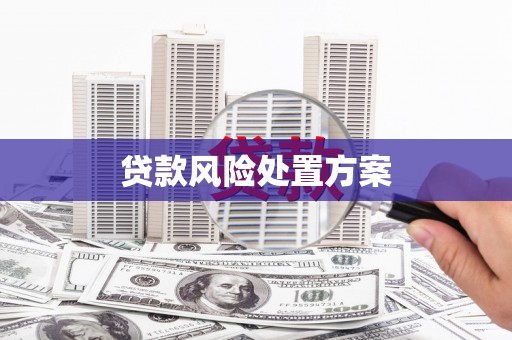 龙子湖贷款风险处置方案
