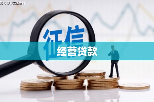龙子湖经营贷款