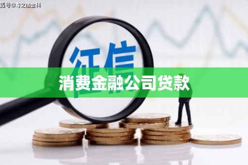 龙子湖消费金融公司贷款