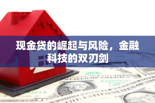 龙子湖现金贷的崛起与风险，金融科技的双刃剑