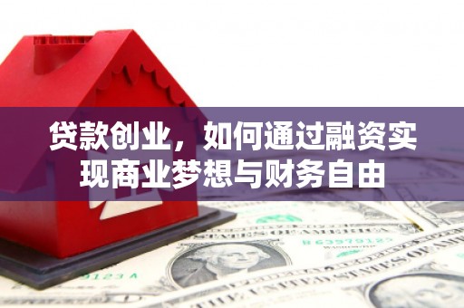 龙子湖贷款创业，如何通过融资实现商业梦想与财务自由