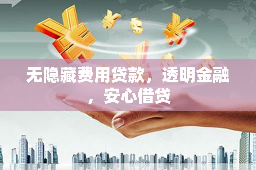 龙子湖无隐藏费用贷款，透明金融，安心借贷