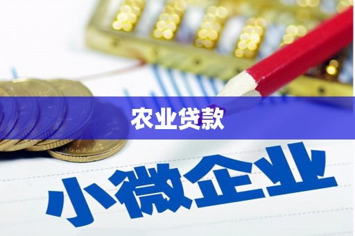 龙子湖农业贷款