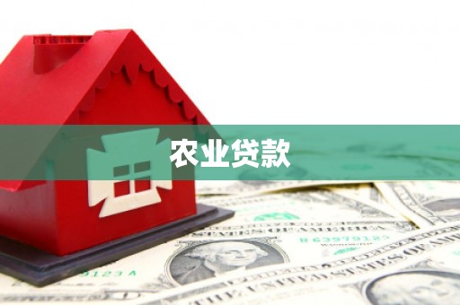 龙子湖农业贷款