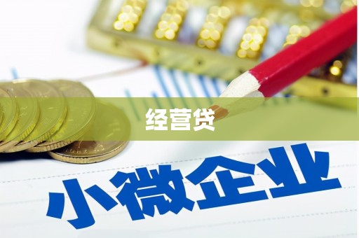 龙子湖经营贷