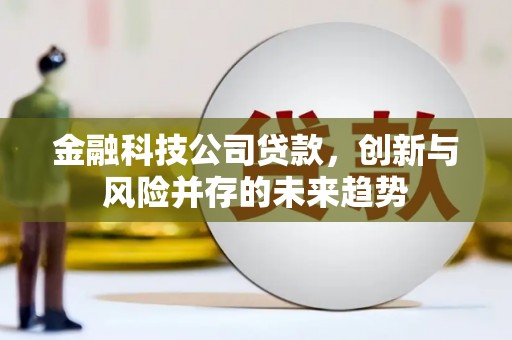 龙子湖金融科技公司贷款，创新与风险并存的未来趋势