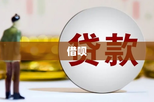 龙子湖借呗