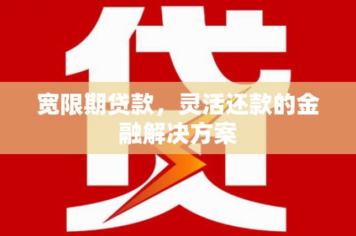 龙子湖宽限期贷款，灵活还款的金融解决方案