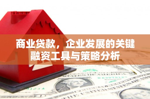 龙子湖商业贷款，企业发展的关键融资工具与策略分析
