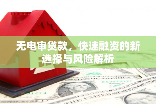 龙子湖无电审贷款，快速融资的新选择与风险解析