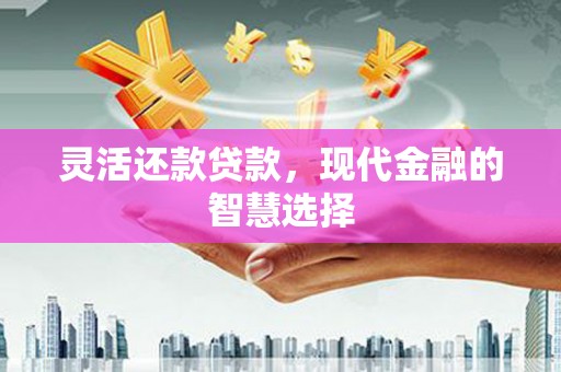 龙子湖灵活还款贷款，现代金融的智慧选择