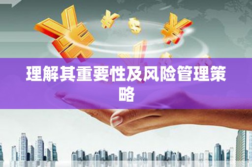 龙子湖理解其重要性及风险管理策略
