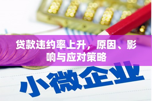 龙子湖贷款违约率上升，原因、影响与应对策略