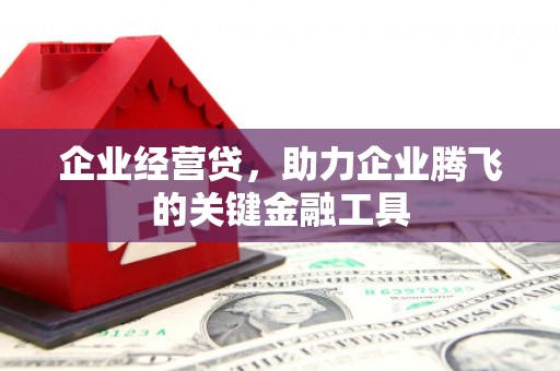 龙子湖企业经营贷，助力企业腾飞的关键金融工具