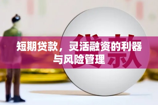 龙子湖短期贷款，灵活融资的利器与风险管理