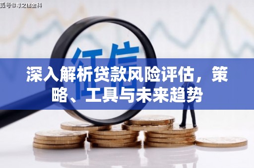 龙子湖深入解析贷款风险评估，策略、工具与未来趋势