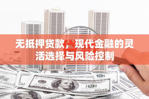 龙子湖无抵押贷款，现代金融的灵活选择与风险控制