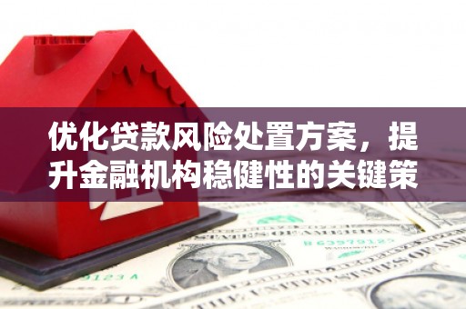 龙子湖优化贷款风险处置方案，提升金融机构稳健性的关键策略