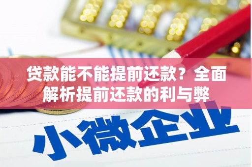 龙子湖贷款能不能提前还款？全面解析提前还款的利与弊