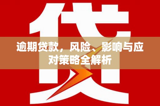 龙子湖逾期贷款，风险、影响与应对策略全解析