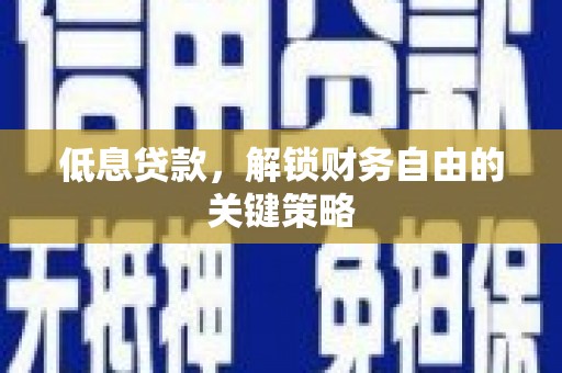 龙子湖低息贷款，解锁财务自由的关键策略