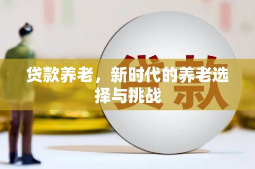 龙子湖贷款养老，新时代的养老选择与挑战