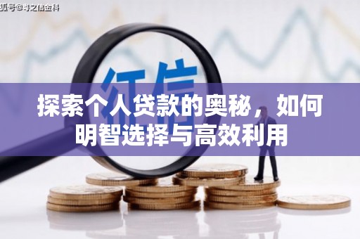 龙子湖探索个人贷款的奥秘，如何明智选择与高效利用