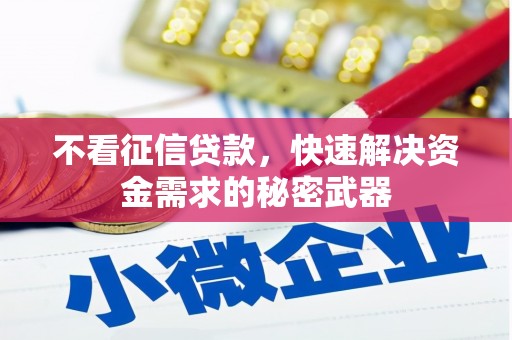 龙子湖不看征信贷款，快速解决资金需求的秘密武器