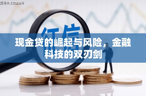 龙子湖现金贷的崛起与风险，金融科技的双刃剑