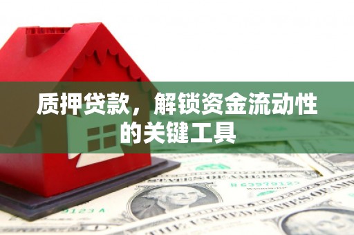 龙子湖质押贷款，解锁资金流动性的关键工具