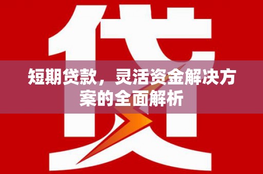 龙子湖短期贷款，灵活资金解决方案的全面解析