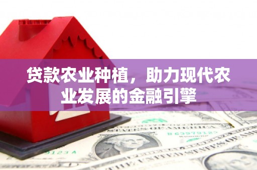 龙子湖贷款农业种植，助力现代农业发展的金融引擎