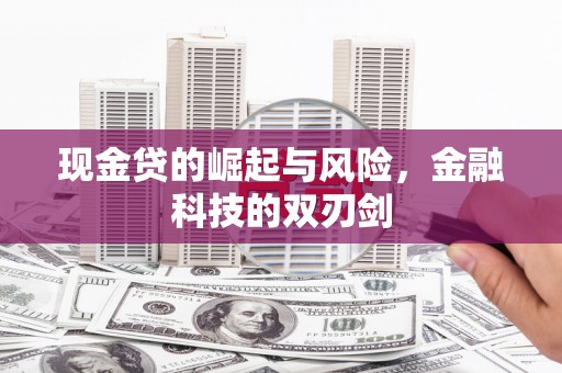 龙子湖现金贷的崛起与风险，金融科技的双刃剑