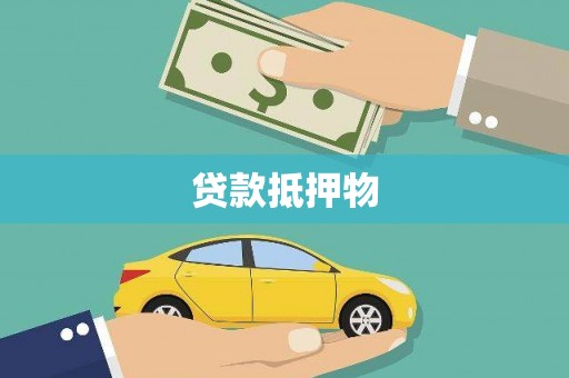 龙子湖贷款抵押物