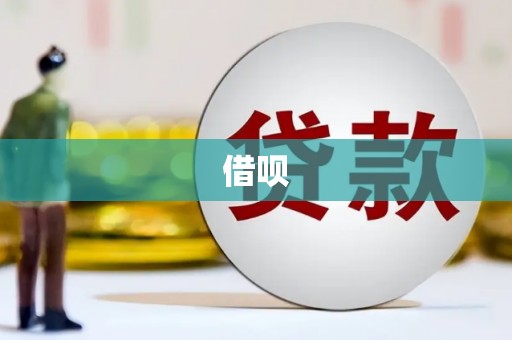 龙子湖借呗