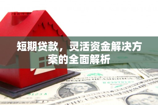龙子湖短期贷款，灵活资金解决方案的全面解析