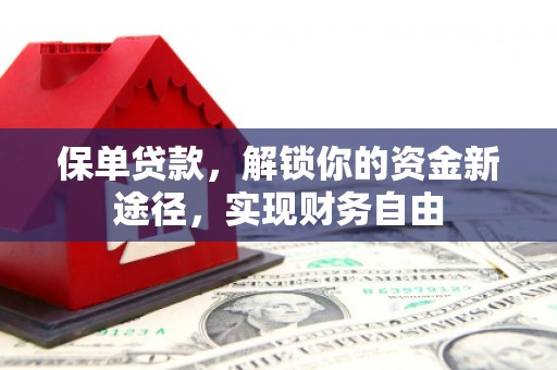 龙子湖保单贷款，解锁你的资金新途径，实现财务自由