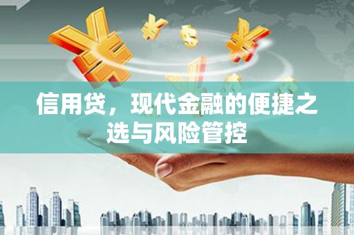 龙子湖信用贷，现代金融的便捷之选与风险管控