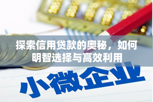 龙子湖探索信用贷款的奥秘，如何明智选择与高效利用
