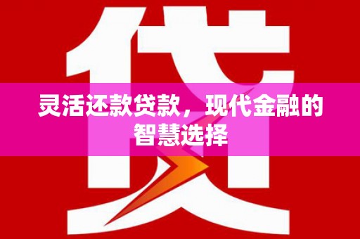 龙子湖灵活还款贷款，现代金融的智慧选择