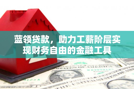 龙子湖蓝领贷款，助力工薪阶层实现财务自由的金融工具