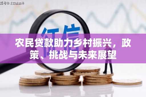 龙子湖农民贷款助力乡村振兴，政策、挑战与未来展望