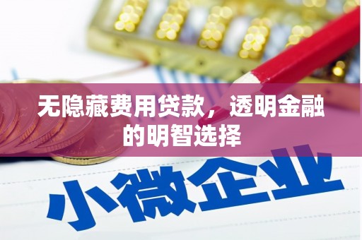 龙子湖无隐藏费用贷款，透明金融的明智选择